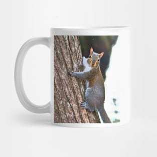 Climbing Up The Tree Mug